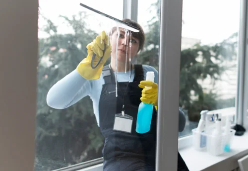 Nettoyage de vitres intérieures et extérieures à Peyrat-la-Nonière